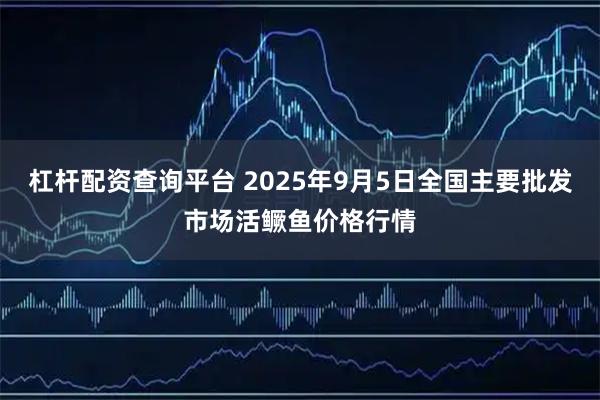 杠杆配资查询平台 2025年9月5日全国主要批发市场活鳜鱼价格行情
