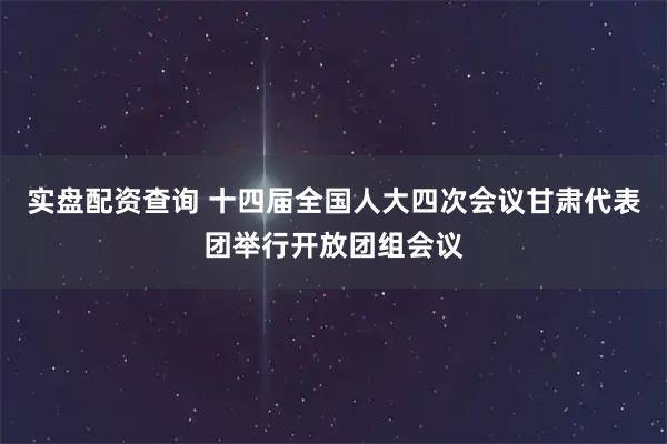 实盘配资查询 十四届全国人大四次会议甘肃代表团举行开放团组会议